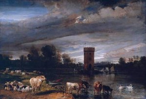 View In Tabley Park — James Ward
