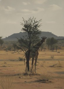 Silent Sentinel in the Ochre Mist