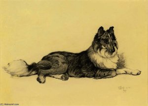 A Collie Lying Down — Beatrice Parsons