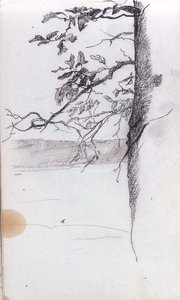 View Of Ocean Through Branches On Side Of Tree — John La Farge