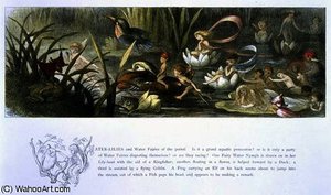 Water-Lilies and Water Fairies