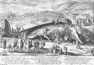Katwijk Gestrandete Potwal — Jacob Matham