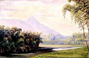 Java Near Malang, Imeeroc — Marianne North, Realism