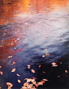 Pool In A Brook, Pond Brook, New Hampshire, October 4, 1953 — Eliot Porter, Contemporary Realism