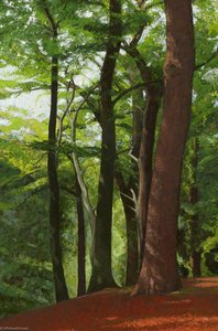 Interior Of Woods — Alan Bennett