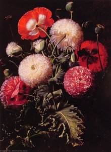 Still Life with Pink Red and White Poppies