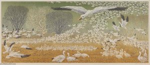 Wintering Snow Geese — Janet E Turner