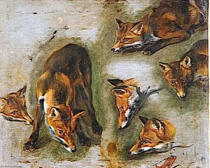 RENARDS