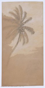 Palm Tree — Elihu Vedder