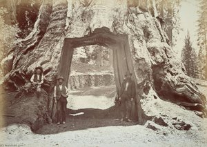 Untitled (aqtdk7) — Carleton Watkins