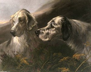 B Pratt Setters — Heywood Hardy