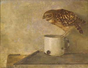 Little Owl on a Mug