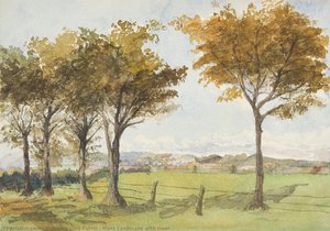 Manx Landscape With Trees — Georgina Gore Currie