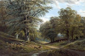 Forest Scene with Deer