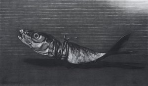 Fish — Youssef Abdelke