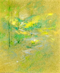 Brook among the Trees
