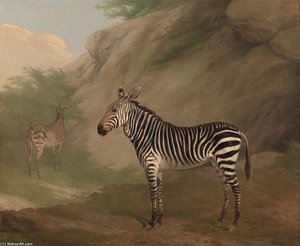 Zebra — Jacques Laurent Agasse