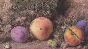 Still Life — William Henry Hunt