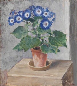 Blue Cineraria — Augustus Edwin John