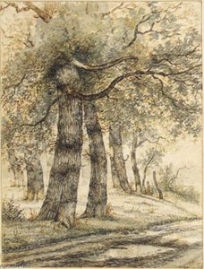 Trees In A Portrait — Wilhelmus Hendrikus Petrus Johannes Zwart