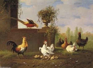 A Feathered Feast