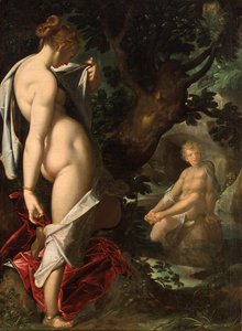 Hermaphrodite and the nymph Salmacis