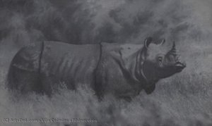 Rhinoceros — Vija Celmins