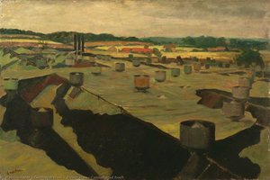 A View across Camouflaged Roofs