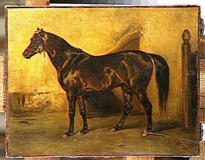 Etude De Cheval Syrien — Montfort Antoine Alphonse