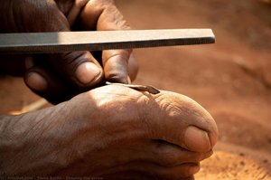 Shaping The Arrow — Tessa Barlin