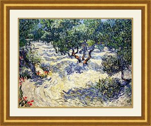 Olive Orchard — Vincent Willem Van Gogh, Post-impressionism