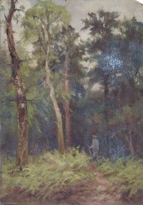 In Addington Park, Croydon, Surrey, June 1897 — William Henry Hope