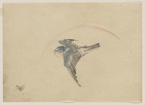 A Bird Flying To The Left, Seen From Above — Katsushika Hokusai, Japanese Ukiyo-e