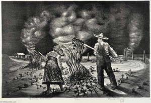 Burning Cotton Stalks — Merritt Mauzey