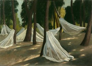 Mosquito Nets