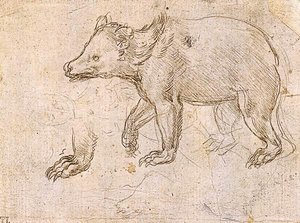 Studien Einer Wanderung — Leonardo Da Vinci
