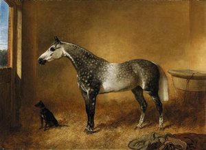 A Dappled Grey Mare And A Dog In A Stable — John Frederick Herring Senior