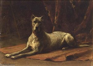 A Dog