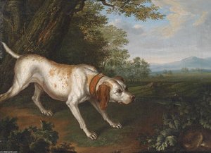 Ein Die Beute Witternder Jagdhund In Einer Landschaft — Philipp Ferdinand De Hamilton