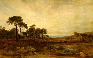 Glen Dee Deer Forest — James Docharty, Romanticism