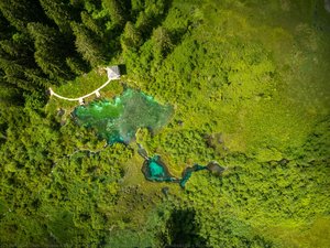 Zelenci, Alpine Slovenia Lakes From The Air — Drazen Stader - Ceo - Studio Production House - Produkcija