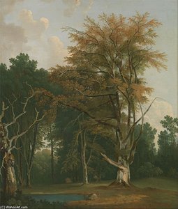 Trees In A Woodland Glade