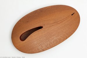 Disk — Sonia L Farley