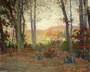 Landscape With House In The Woods In Saint Thomas, Antilles — Henri Lebasque