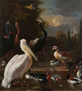 The Floating Feather — Melchior De Hondecoetter, Baroque