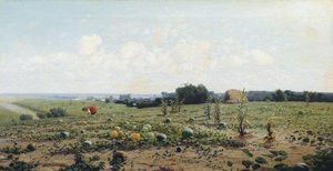 Melon Field