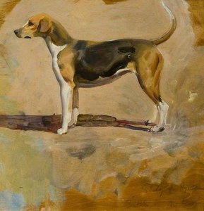 Study Of A Foxhound, 'pytchley' — Sir Alfred James Munnings, Impressionistic Landscape