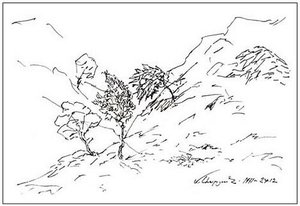 Three Trees — Martiros Sarian