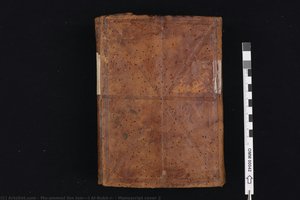 Manuscript Cover 2 — Imán Al-bujari, Contemporary Realism