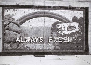 Rainbow Sign, From The Kansas Documentary Survey Project — Larry W Schwarm